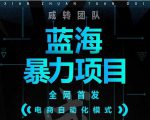 引流哥蓝海暴力躺赚项目:无需发圈无需引流无需售后,每单赚50-500(教程+线报群)-风淘社