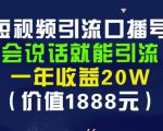 安妈·短视频引流口播号,会说话就能引流,一年收益20W(价值1888元)-风淘社