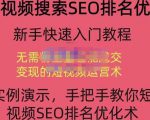 宋老师·短视频搜索SEO优化,教你10分钟创作一个短视频,三天排名上第一-风淘社