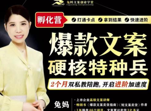 兔妈·爆款文案硬核特种兵孵化营,实现了每个月2000-30000+的副业增收-风淘社