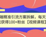 高端精准引流方案拆解，每天轻松获得100+粉丝【视频课程】-风淘社
