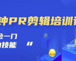抖音视频一分钟PR剪辑培训:学会一门赚钱的技能,每节课短小精悍-风淘社