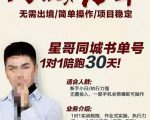 星哥同城教育书单号课程，无需出境简单操作项目稳定-风淘社