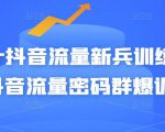 Peter抖音流量新兵训练营-破解抖音流量密码群爆训练营(新兵)-风淘社