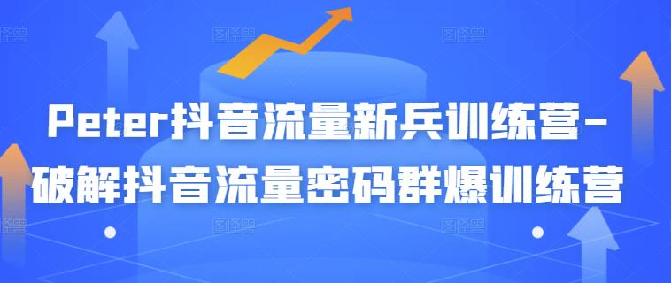 Peter抖音流量新兵训练营-破解抖音流量密码群爆训练营(新兵)-风淘社