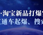 凌童·淘宝新品打爆实战班,直通车起爆、搜索起爆-风淘社