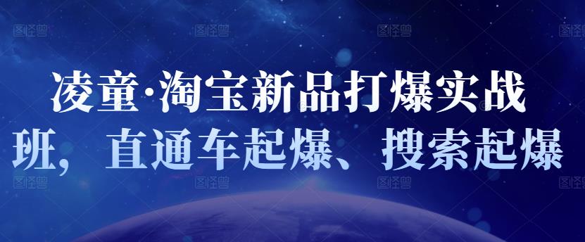 凌童·淘宝新品打爆实战班,直通车起爆、搜索起爆-风淘社