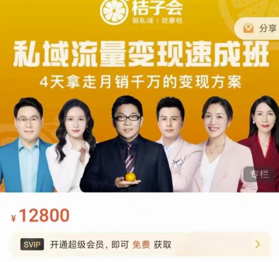 桔子会·私域流量变现速成班，4天拿走月销千万的变现方案 价值12800元-风淘社