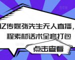聚亿传媒张先生无人直播，教程素材话术全套打包-风淘社