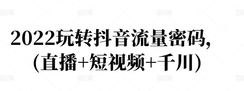 2022玩转抖音流量密码,(直播+短视频+千川)-风淘社