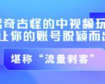 不讲李·稀奇古怪的冷门中视频冷门玩法,让你的账号脱颖而出,成为流量刺客!(图文+视频)-风淘社