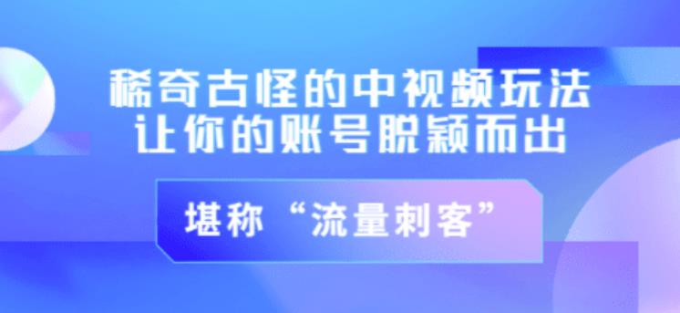 不讲李·稀奇古怪的冷门中视频冷门玩法,让你的账号脱颖而出,成为流量刺客!(图文+视频)-风淘社