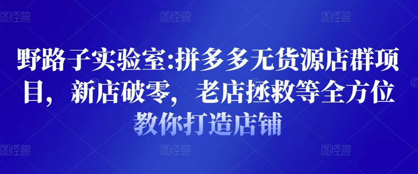 野路子实验室:拼多多无货源店群项目,新店破零,老店拯救等全方位教你打造店铺-风淘社