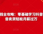 抖音电商赚钱全攻略：零基础学习抖音种草，靠抖音卖货轻松月薪过万-风淘社