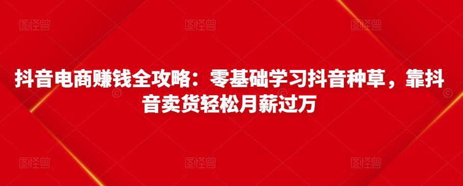 抖音电商赚钱全攻略：零基础学习抖音种草，靠抖音卖货轻松月薪过万-风淘社