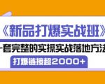 凌童《新品打爆实战班》,一套完整的实操实战落地方法,打爆链接超2000+(28节课)-风淘社