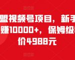 猎人联盟视频号项目,新手0基础轻松月赚10000+,保姆级教程原价4988元-风淘社