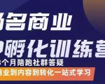 杨名商业IP孵化训练营,从商业到内容到转化一站式学 价值5980元-风淘社