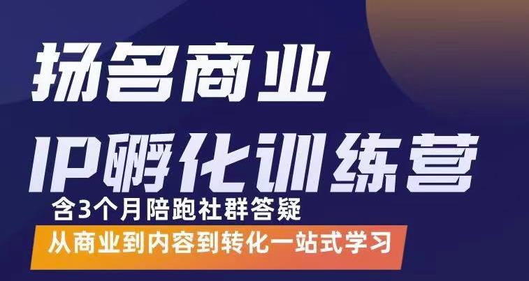 杨名商业IP孵化训练营,从商业到内容到转化一站式学 价值5980元-风淘社