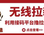 最新接码无限拉新项目,利用接码平台赚拉新平台差价,轻松日赚500+-风淘社
