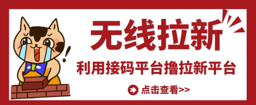 最新接码无限拉新项目，利用接码平台赚拉新平台差价，轻松日赚500+-风淘社