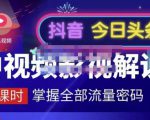 嚴如意·中视频影视解说—掌握流量密码,自媒体运营创收,批量运营账号-风淘社
