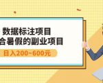 副业赚钱：人工智能数据标注项目，简单易上手，小白也能日入200+-风淘社