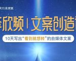 李欣频|文案创造课,0基础可报10天写出“看到就想转”的自媒体文案-风淘社