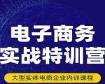 民赛电气内部出品:电子商务实战特训营,全方位带你入门电商,308种方式玩转电商-风淘社