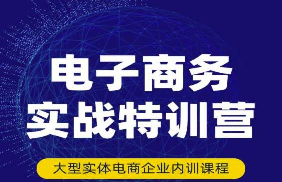 民赛电气内部出品:电子商务实战特训营,全方位带你入门电商,308种方式玩转电商-风淘社