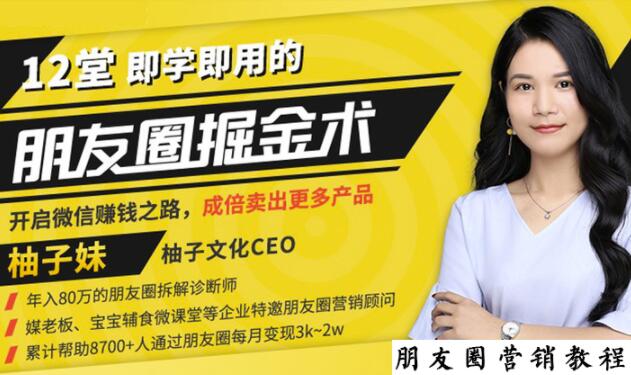 【营销必学】12堂学之即用的朋友圈掘金术:开启你的副业赚钱之路-风淘社