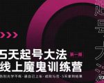 大播·五天起号魔鬼训练营,告别光学不练,逼自己上车,成败与否,5天拿到结果-风淘社