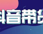 抖音直播带货入门必学教程，教快速上手抖音直播带货-风淘社