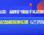 秒懂代运营:品牌IP操盘手实战赚钱,0-1起盘和落地实操(23节课程)价值199-风淘社