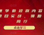 10堂速学微短剧内容制作标准与项目实战，领跑80%同行-风淘社