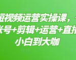 晨哥·短视频运营实操课,一部手机,账号+剪辑+运营+直播,从小白到大咖-风淘社