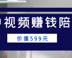 中视频赚钱陪跑,卖中视频账户赚钱收益陪跑项目(价值599元)-风淘社