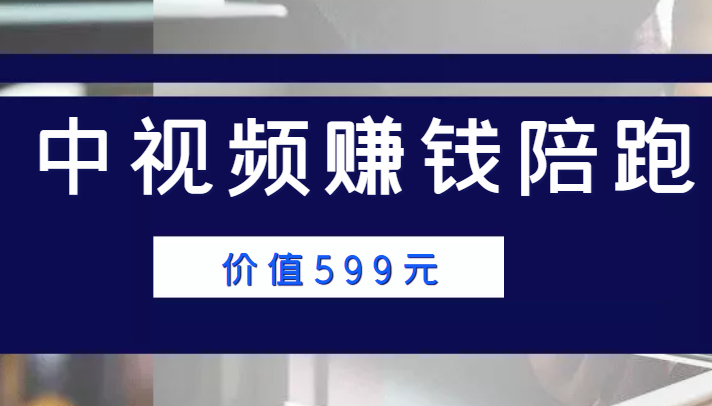 中视频赚钱陪跑,卖中视频账户赚钱收益陪跑项目(价值599元)-风淘社