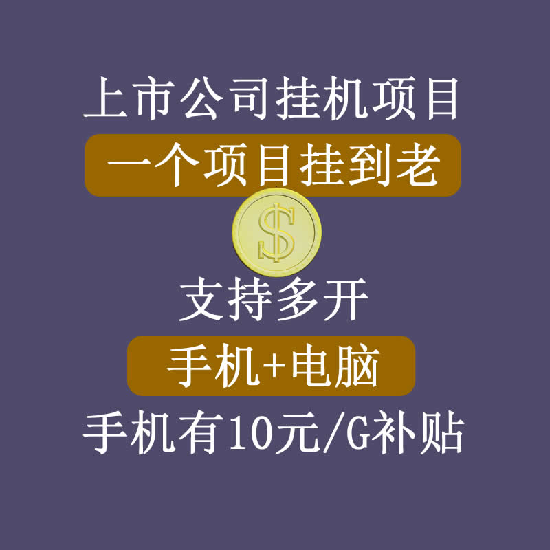 正规挂机项目,支持手机电脑一起挂,支持虚拟机多开,可以挂到老-风淘社