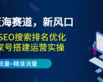 2022蓝海赛道，新风口：短视频SEO搜索排名优化+企业商家号搭建运营实操-风淘社