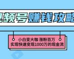 玩转微信视频号赚钱：小白变大咖涨粉百万实现快速变现1000万的现金流-风淘社