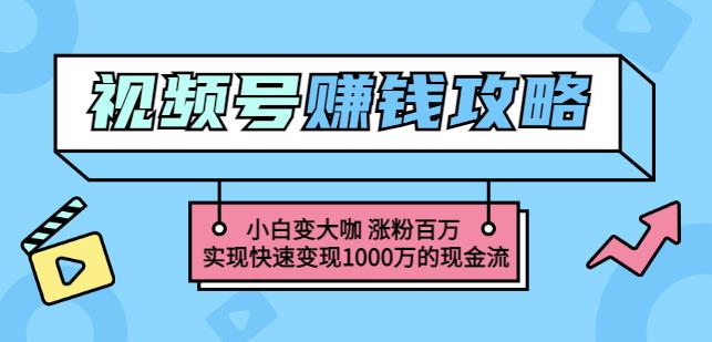 玩转微信视频号赚钱:小白变大咖涨粉百万实现快速变现1000万的现金流-风淘社