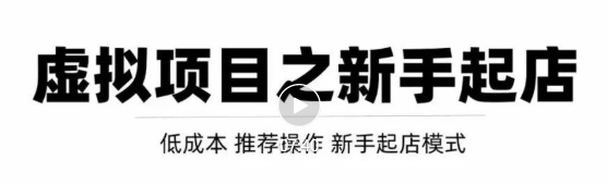 虚拟项目快速起店模式,0成本打造月入几万虚拟店铺!-风淘社