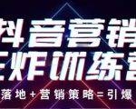抖音营销王炸训练营,实操落地+营销策略=引爆流量(价值8960元)-风淘社
