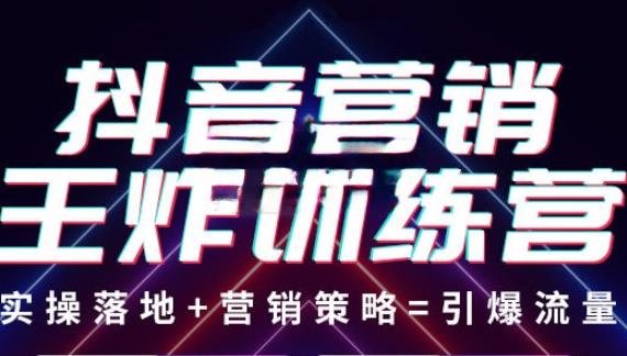 抖音营销王炸训练营,实操落地+营销策略=引爆流量(价值8960元)-风淘社