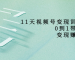 11天视频号变现训练营,从0到1打造变现赚钱系统(价值398元)-风淘社
