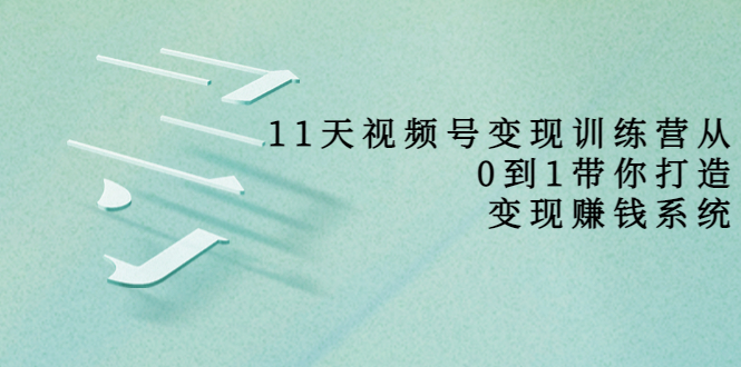 11天视频号变现训练营，从0到1打造变现赚钱系统（价值398元）-风淘社