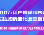 8000万用户规模增长方法论私域精细化运营增长,私域流量硬课助力业务跃迁-风淘社