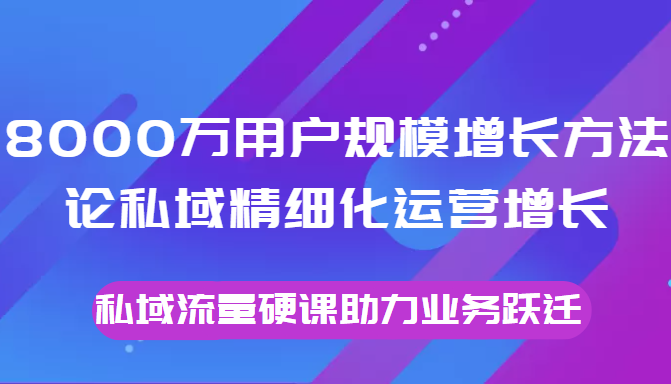 8000万用户规模增长方法论私域精细化运营增长,私域流量硬课助力业务跃迁-风淘社