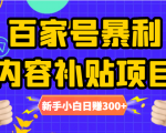 百家号暴利内容补贴项目,图文10元一条,视频30一条,新手小白日赚300+-风淘社